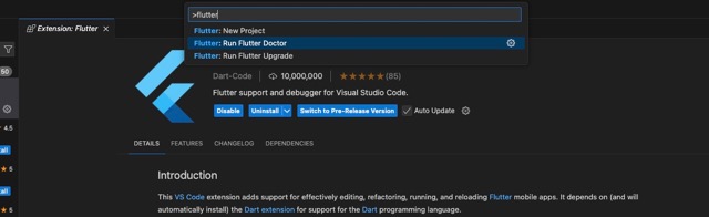 Flutter Doctor 실행